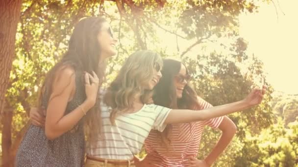 Grupp av vackra vänner med en selfie — Stockvideo