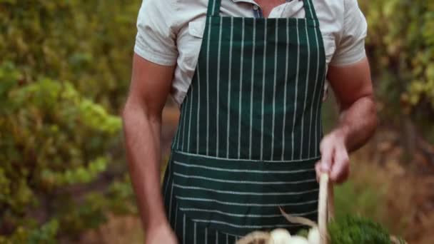 Granjero feliz sosteniendo una cesta de verduras — Vídeo de stock