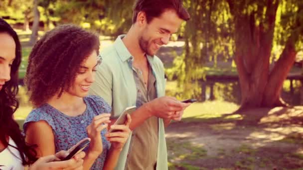 Friends in the park using their phones — Stock Video