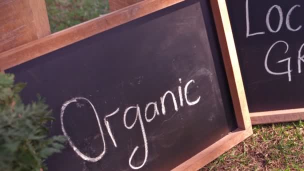 Panier avec légumes au ralenti — Video