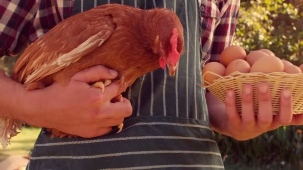 Boer bedrijf kip en de eieren — Stockvideo