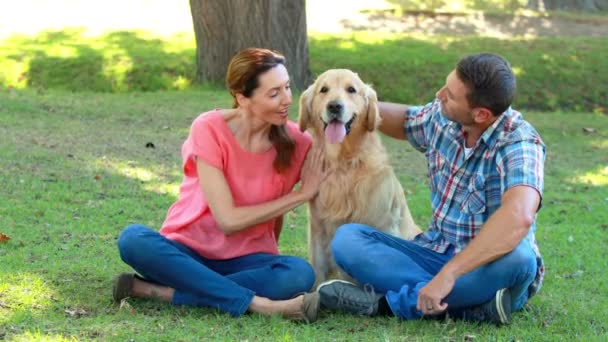 Casal com seu cão no parque — Vídeo de Stock