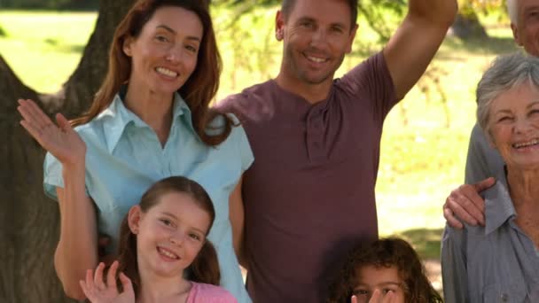 Família estendida sorrindo no parque — Vídeo de Stock