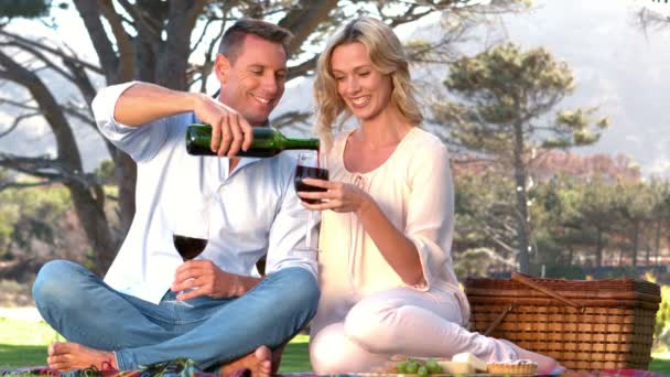 Pareja disfrutando del vino juntos — Vídeos de Stock