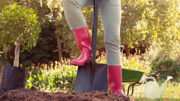 Femme portant des bottes en caoutchouc à l'aide de la pelle — Video