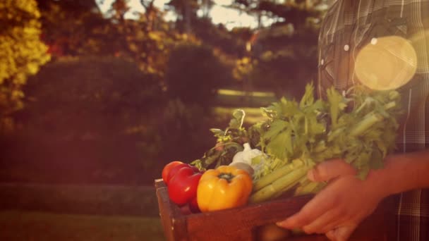 Homme tenant boîte avec des légumes — Video