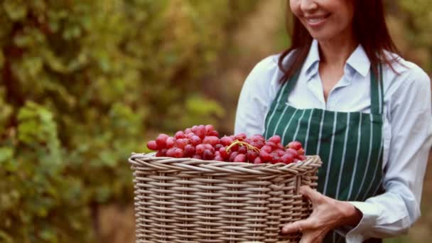 Viticultor morena sosteniendo una cesta de uva roja — Vídeo de stock