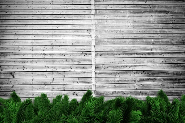 Branches de sapin sur planches de bois — Photo