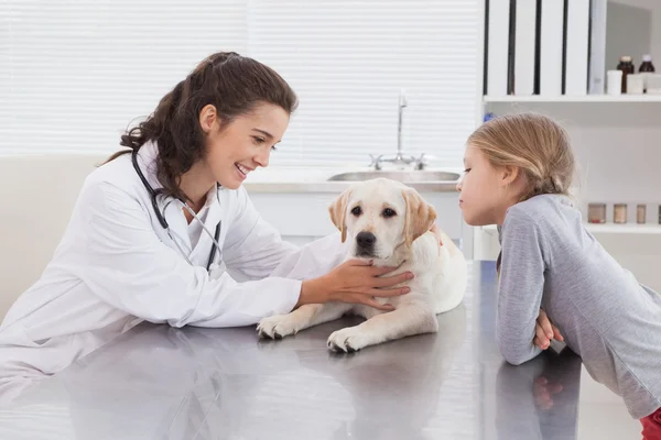 Veterinario perro examinador con propietario —  Fotos de Stock