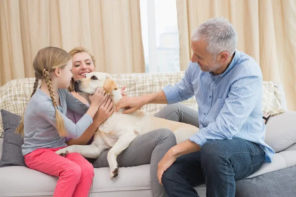 Parents and daughter with labrador — Stock Photo, Image