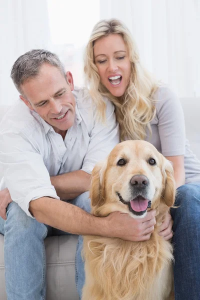 Pareja disfrutando de los perros compañía —  Fotos de Stock