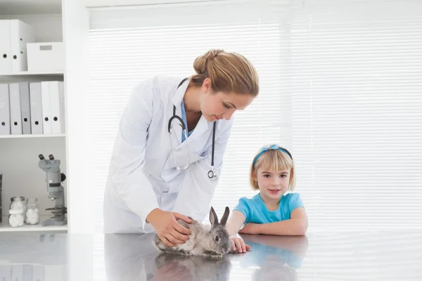 Tierarzt zeigt Kaninchen — Stockfoto