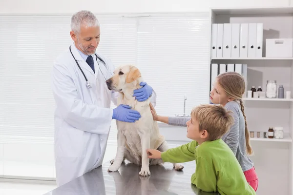 Veterinär undersöka hunden med ägare — Stockfoto