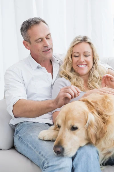 Paar streichelt Golden Retriever — Stockfoto