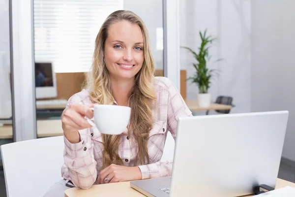 Mulher de negócios usando notebook — Fotografia de Stock