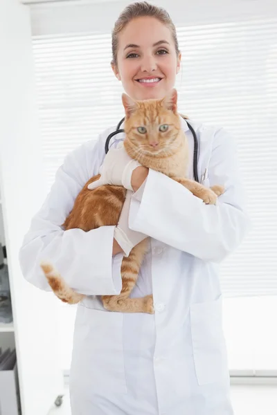 Veterinário segurando gato adorável — Fotografia de Stock