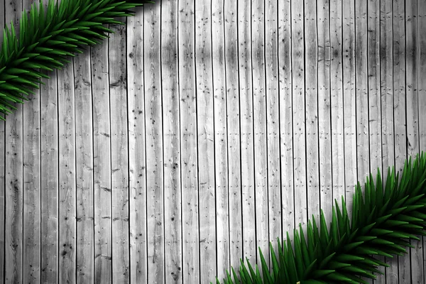 Branches de sapin sur planches de bois — Photo