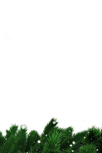 Yeşil çam dalları ile kar — Stok fotoğraf