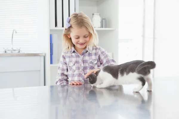 Proprietario petting carino gattino — Foto Stock