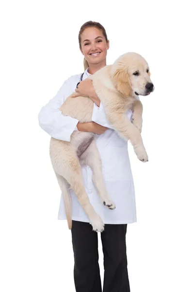 Vet holding puppy — Stock Photo, Image