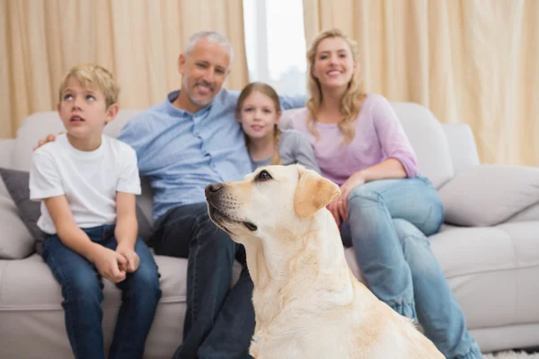 Föräldrar och barn på soffan med labrador — Stockfoto