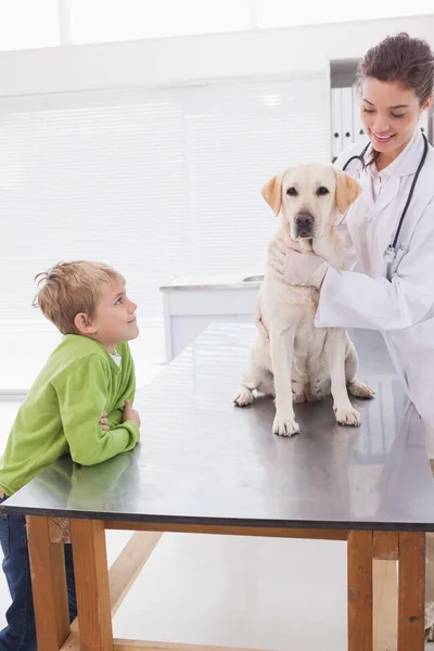 Veterinario esaminando cane con proprietario — Foto Stock