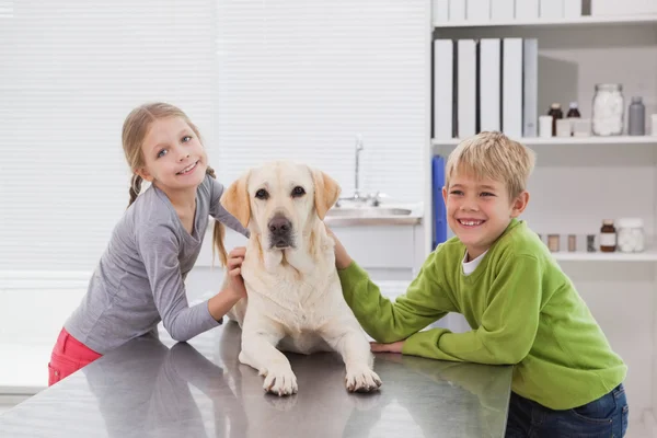 Labrador with happy owners — Stock Photo, Image
