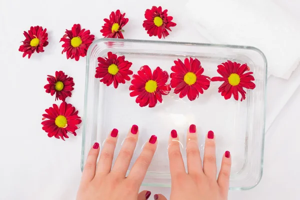 Mãos femininas após manicure — Fotografia de Stock