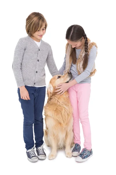 Frères et sœurs caressant golden retriever — Photo