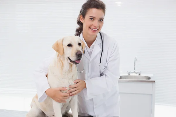 Veterinario esaminando carino cane — Foto Stock