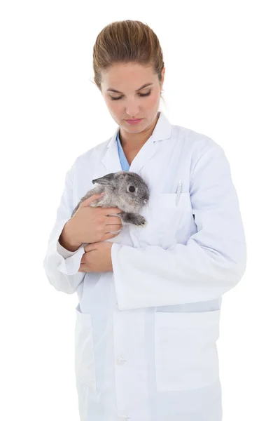 Ветеринар держит кролика — стоковое фото