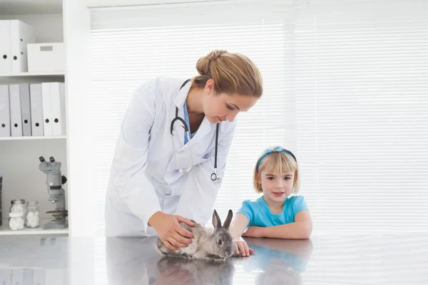 Tierarzt zeigt Kaninchen Stockbild