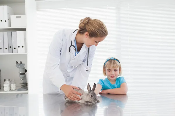 Bunny tavşan gösterilen veteriner Stok Fotoğraf