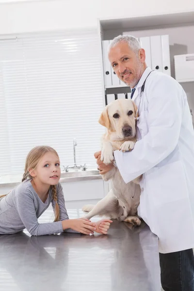 Veterinär undersöka hunden med ägare — Stockfoto