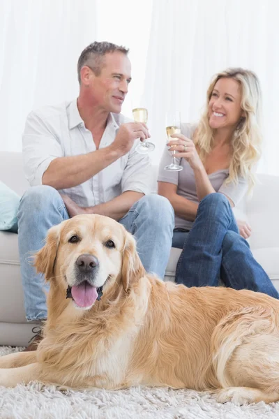 Pareja bebiendo champán con perro —  Fotos de Stock