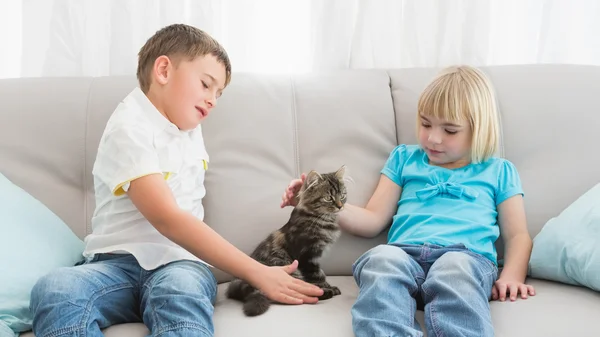 Fratelli accarezzando gatto — Foto Stock