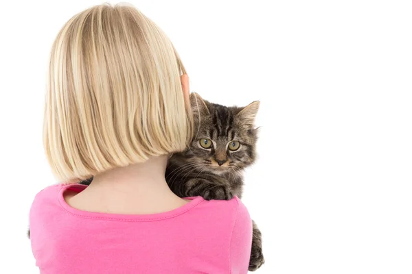 Girl holding grey kitten — Stock Photo, Image