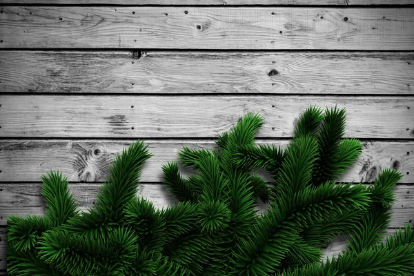 Ramas de abeto sobre tablones de madera — Foto de Stock