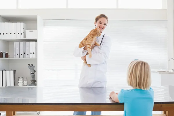 Кішка ветеринар Холдинг — стокове фото