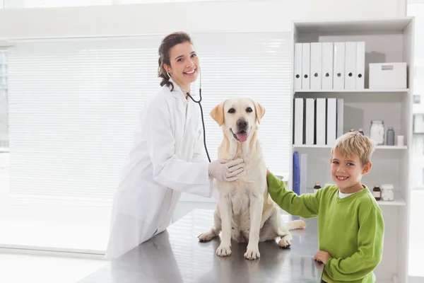 Vétérinaire examen chien avec propriétaire — Photo