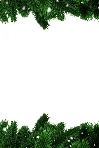 Karlı köknar dalları — Stok fotoğraf