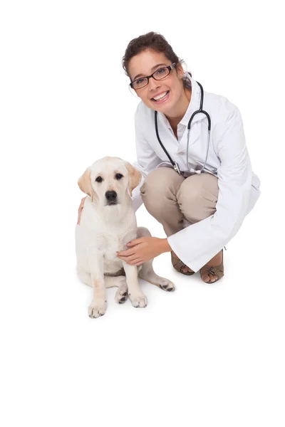 Veterinär med söt hund — Stockfoto