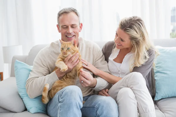 Couple petting gringer cat — Stock Photo, Image