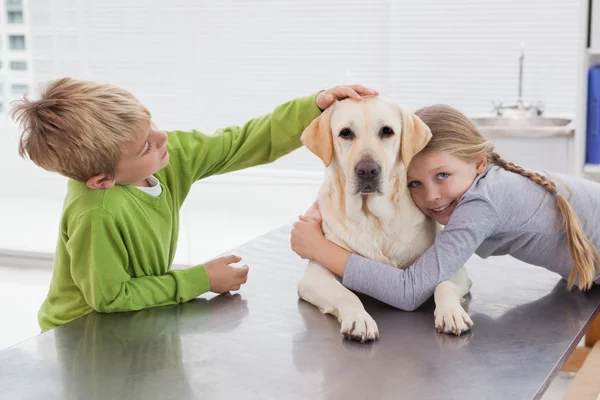 Labrador with owners — Stock Photo, Image