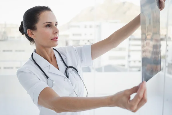 Arzt untersucht Patienten röntgen — Stockfoto