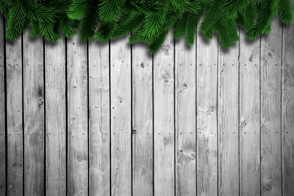 Fir branches on wooden planks — Stock Photo, Image