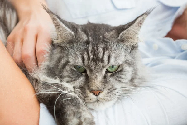 Mulher abraçando com gato no sofá — Fotografia de Stock