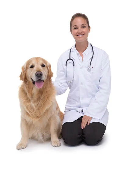 Veterinär på knä bredvid hunden — Stockfoto