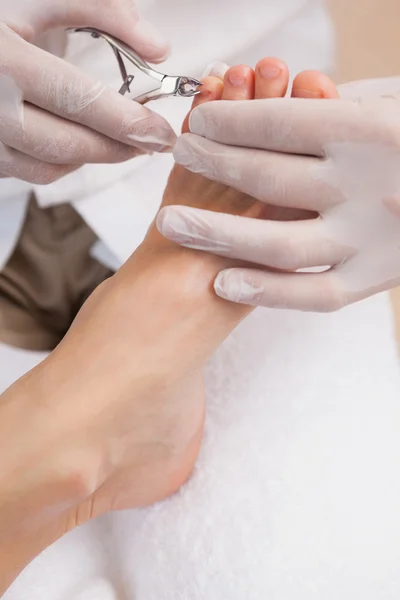 Pedicurist clipping customers toe nails — Stock Photo, Image