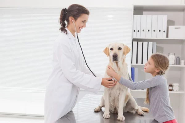 Veterinär undersöka hunden med ägare — Stockfoto